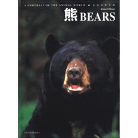 动物世界写真:熊