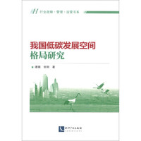 行业战略·管理·运营书系:我国低碳发展空间格局研究