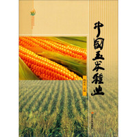 中国玉米种业