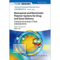 先进功能材料丛书：生物启发与仿生型高分子药物及基因递送系统