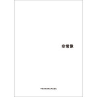 第五届中国济南国际摄影双年展学术成果:非常像