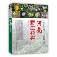 河南野生花卉