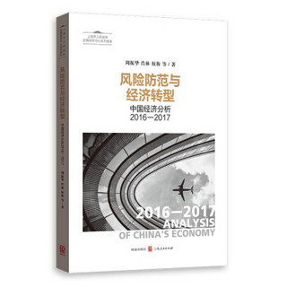 风险防范与经济转型——中国经济分析2016—2017