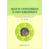 地震作用下浅埋双洞隧道的动力响应及减震措施研究