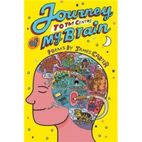 Journey to the Centre of My Brain