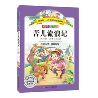 语文新课标 小学生必读丛书 无障碍阅读 彩绘注音版:苦儿流浪记
