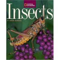 Insects