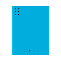 飞兹(fizz)高质感60页A4加厚资料册/彩色档案册/办公用品 蓝A36375