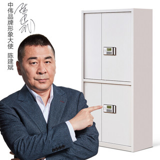 中伟 BMG-10 电子密码锁 通双节带抽-灰白 文件柜