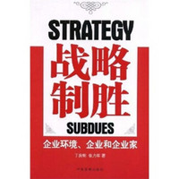 战略制胜：企业环境、企业和企业家