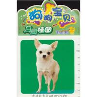乖乖豆身高挂图:狗狗宝贝
