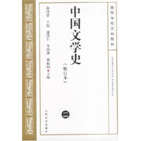 中国文学史2