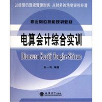 职业岗位技能规划教材：电算会计综合实训