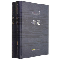 陆天明经典作品集:命运(套装上下册)