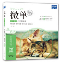 微单旅行摄影入门到精通(超值版)