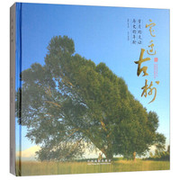 定边古树(精)