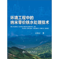 环境工程中的纳米零价铁水处理技术