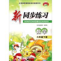 新同步练习：数学（六年级下 人教版）