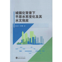 城镇化背景下平原水系变化及其水文效应