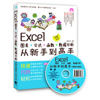 Excel图表·公式·函数·数据分析从新手到高手（畅销升级版 附光盘）