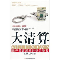大清算:揭开谎言经济的惊天秘密
