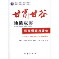 甘肃甘谷地质灾害详细调查与评价