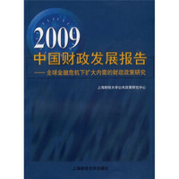 2009中国财政发展报告：全球金融危机下扩大内需的财政政策研究