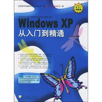 Windows XP 从入门到精通