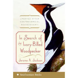 In Search of the Ivory-Billed Woodpecker