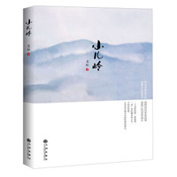 小儿岭