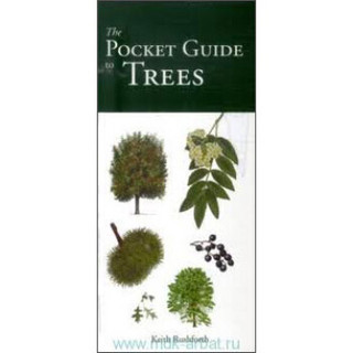 The Pocket Guide to Trees[树袖珍指南]