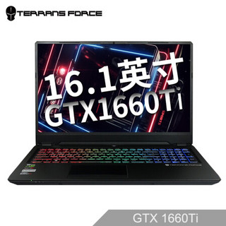 TERRANS FORCE 未来人类 未来人类-T系列 T6-1660TI-97SH1  i7-9750H 8G 256GB SSD 1TB HDD GTX1660Ti