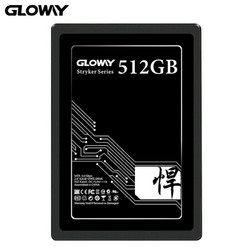 GLOWAY 光威 悍将系列 SATA3 固态硬盘 512GB