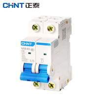 正泰(CHNT)NXB 63 家用空气开关 过载空气开关 DZ升级款小型断路器 2P 6A