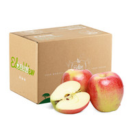 清谷田园 陕西加力果 嘎啦苹果 净重2.4kg 新鲜水果