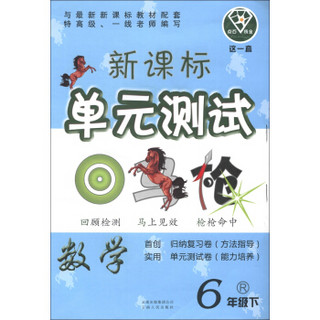 点石成金·这一套·新课标单元测试：数学（6年级下）（R）