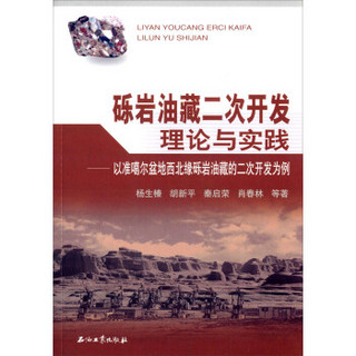 砾岩油藏二次开发理论与实践：以准噶尔盆地西北缘砾岩油藏的二次开发为例