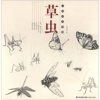 草虫-白描技法精解