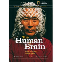 The Human Brain