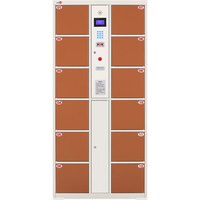 钱柜 智能电子存包柜 超市储物柜商场扫描扫码寄存柜桑拿健身房衣柜电子感应锁柜 12门 红外线条码 浅咖色