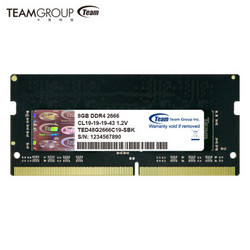 Team 十铨  8GB DDR4 2666 笔记本内存条 黑色
