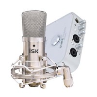 iSK 声科 专业麦克风声卡套装 电脑手机通用变声网络k歌喊麦主播直播录音设备全套BM-800+艾肯4nano声卡