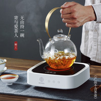 柏翠(petrus)电茶炉简茶炉 电陶炉 煮茶器 迷你小茶炉PE2911