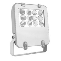 R牌 LZY8101(40W) LED 防眩泛光灯