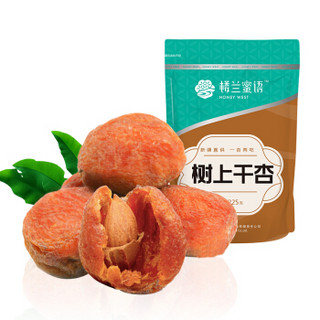 楼兰蜜语 蜜饯果干大杏干 新疆特产零食果干 树上干杏225g/袋