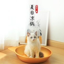 夏季凉爽铝制猫窝 金色