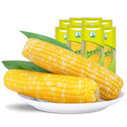 东北农嫂 黄糯玉米 甜糯玉米棒 200g*8支 *4件