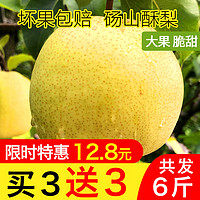 砀山酥梨梨子新鲜10斤19.8元