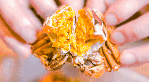 大闸蟹+海胆畅吃!蟹宴日料双主题自助!上海漕河泾万丽酒店自助晚餐