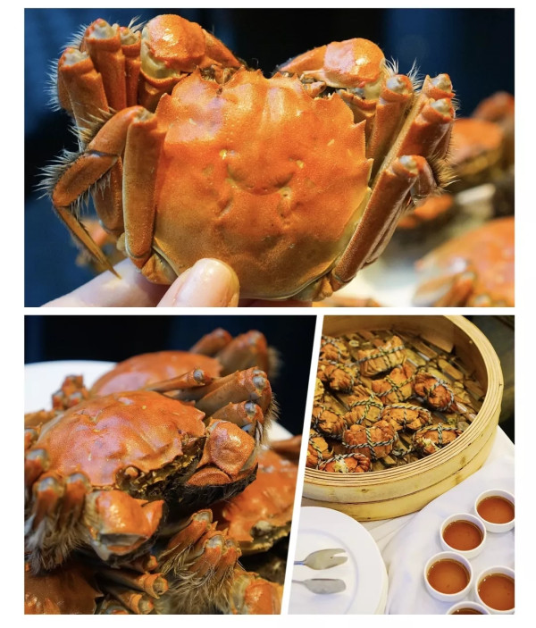 大闸蟹+海胆畅吃!蟹宴日料双主题自助!上海漕河泾万丽酒店自助晚餐